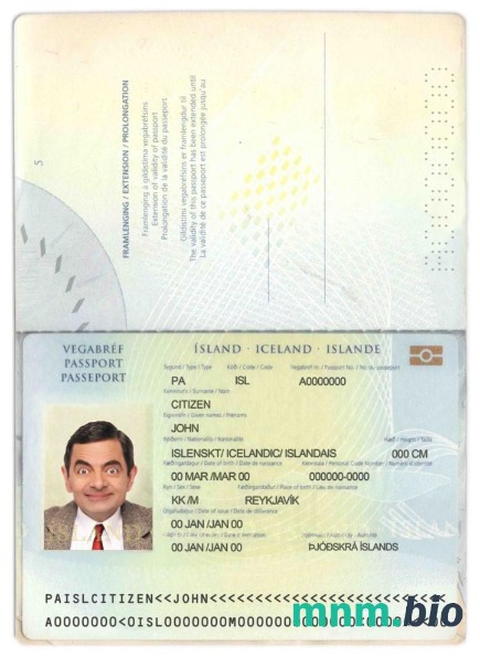 Przykład paszportu islandzkiego w formacie PSD, w pełni edytowalny